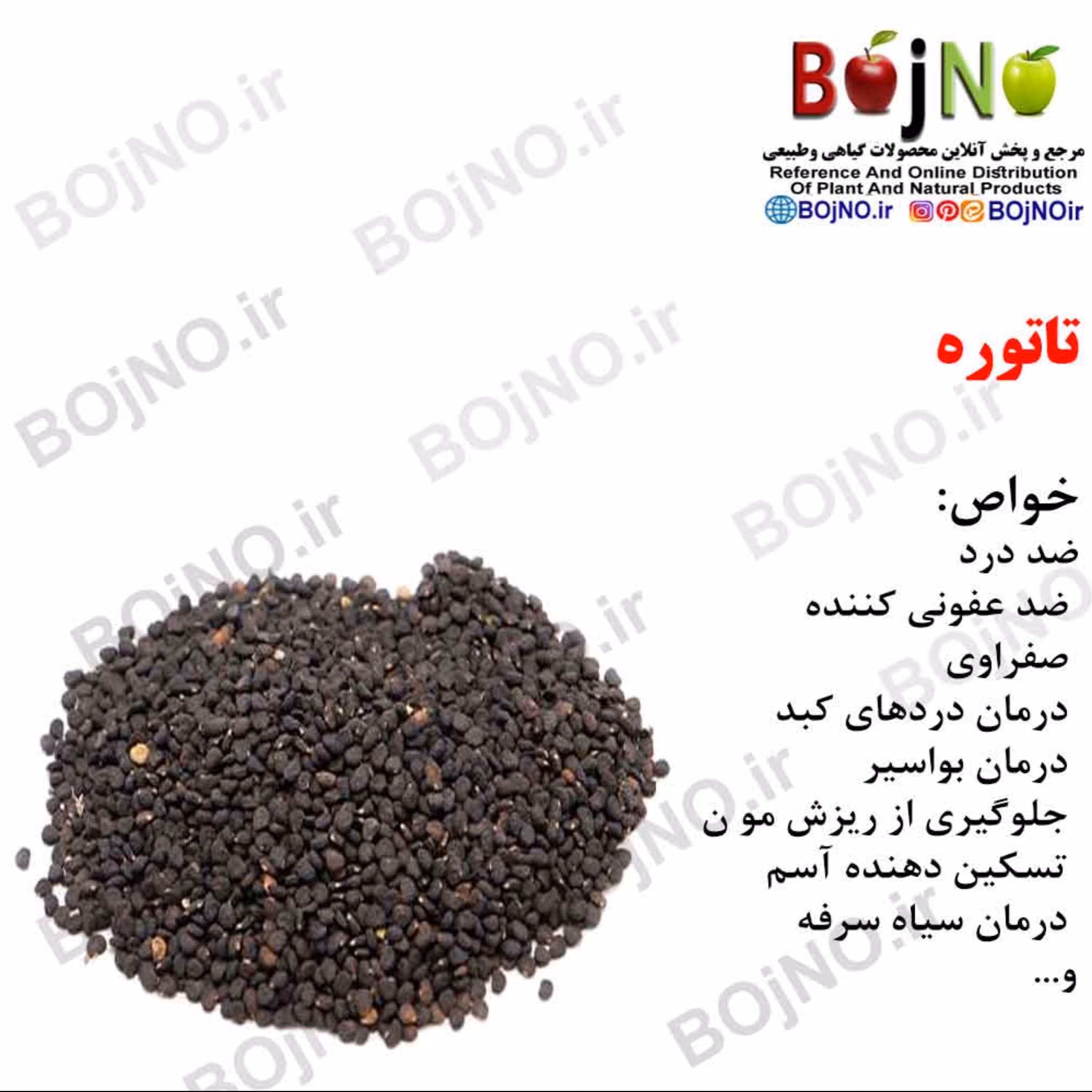 تاتوره (بسته 50گرمی)