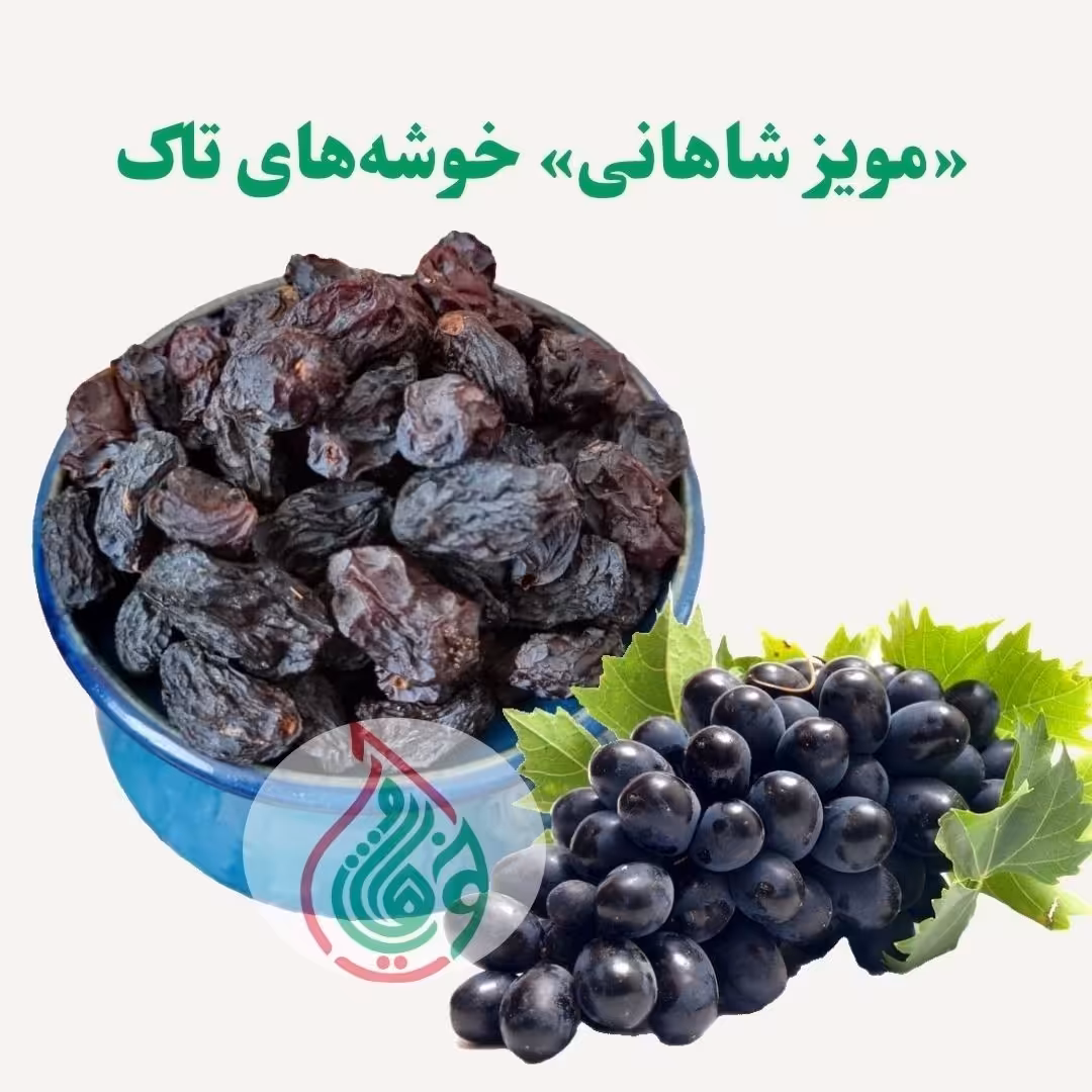 مویز شاهانی گوشتی دیم (یک کیلو)