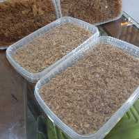 پیازداغ خانگی تازه 250گرم