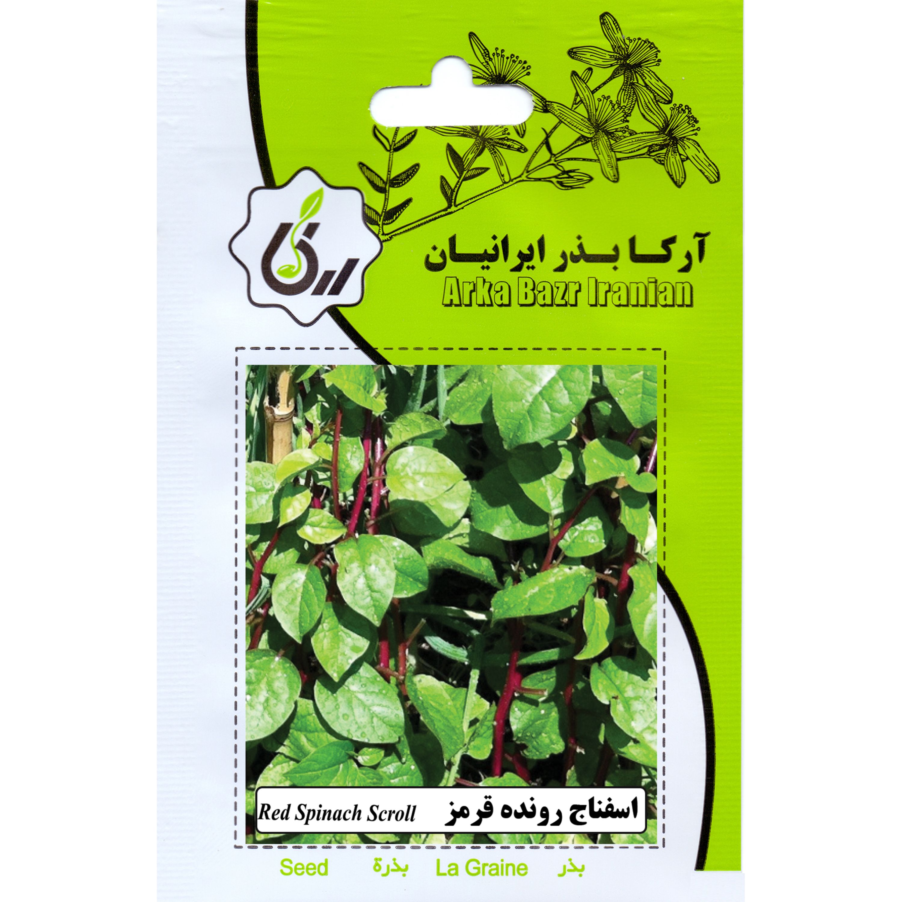 اسفناج رونده قرمز ارکا بذر ایرانیان