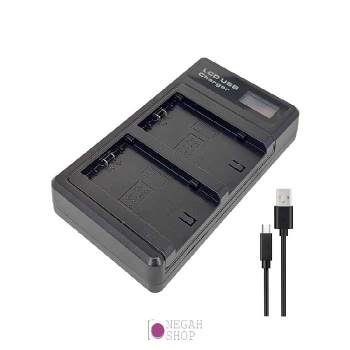 شارژر دوبل باتری QZ1-FZ100 با صفحه نمایش