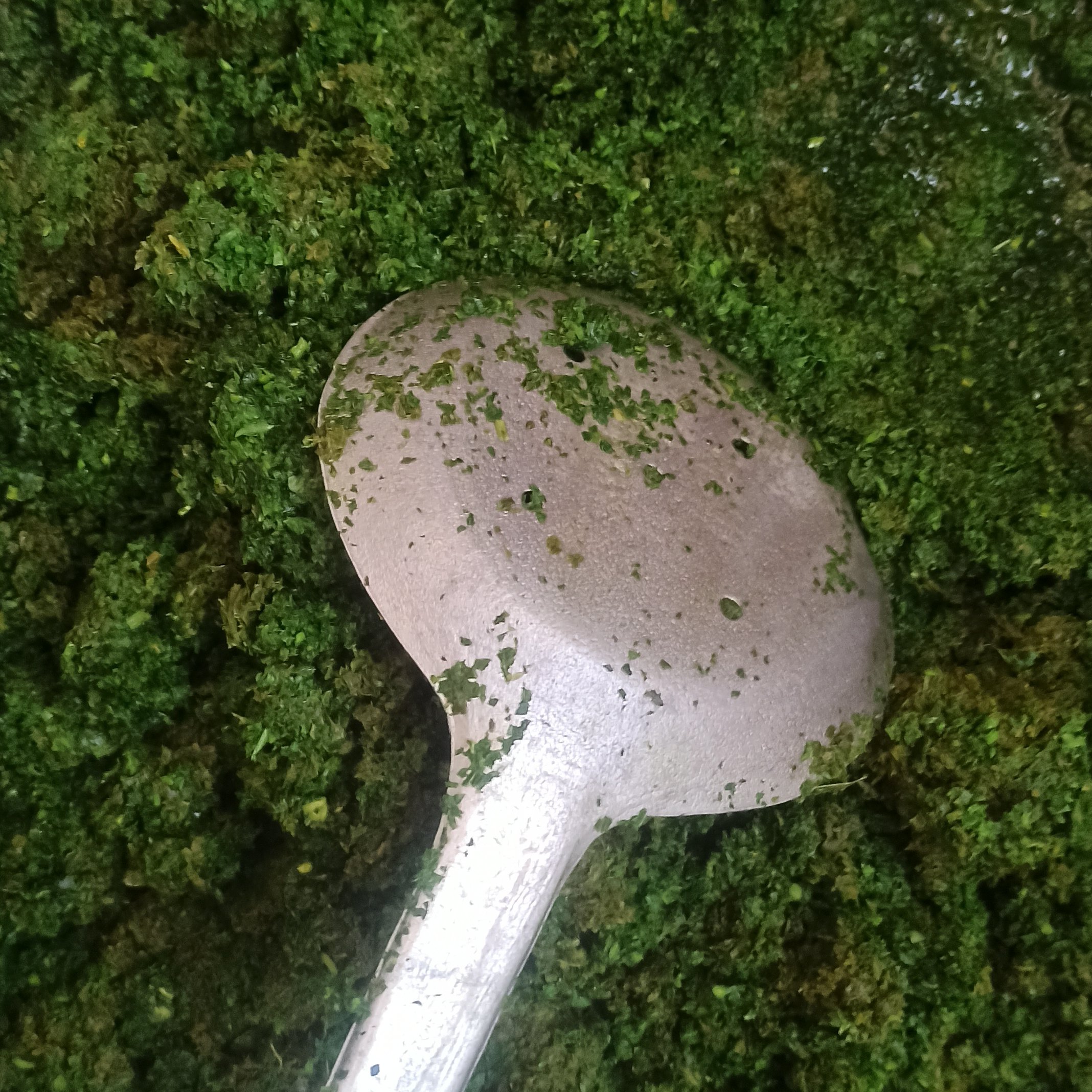 سبزی قورمه سبزی 500 گرمی