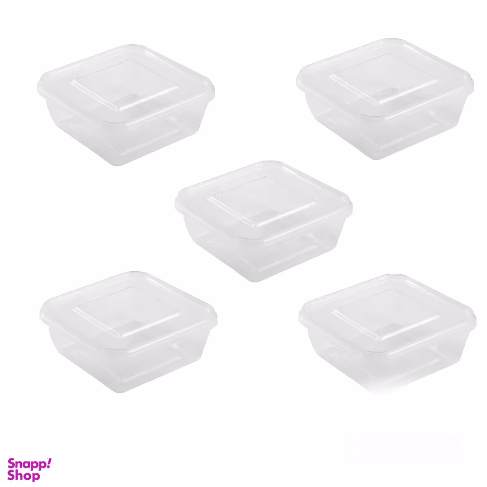 ظرف یکبار مصرف طب پلاستیک کد c16005 بسته ۵ عددی