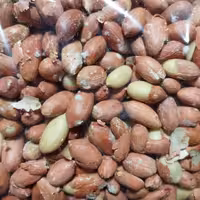 بادام زمینی آستانه ممتاز (یک کیلوگرم)