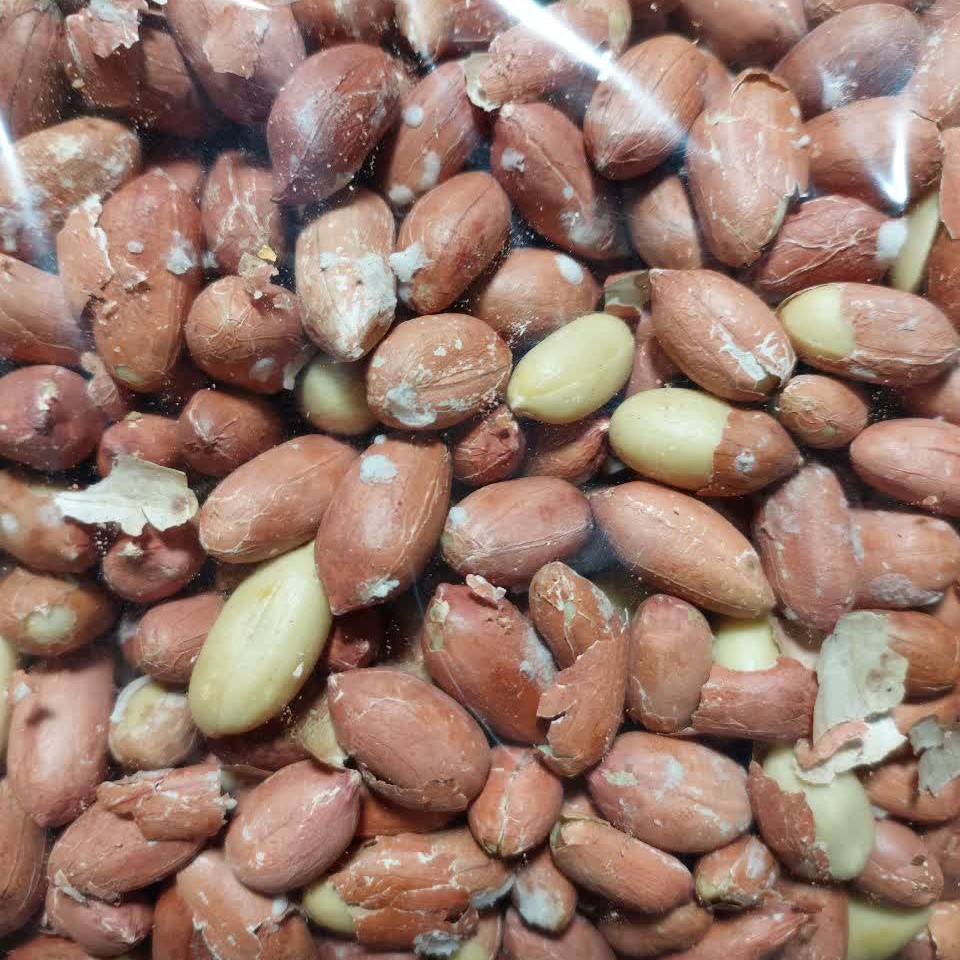 بادام زمینی آستانه ممتاز (یک کیلوگرم)