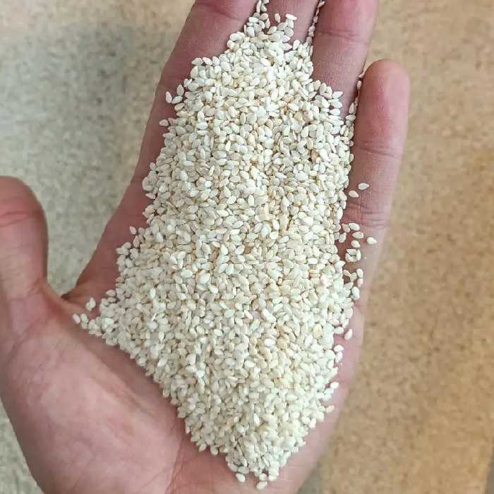 کنجد سفید تمیز و یکدست تازه (یک کیلو)