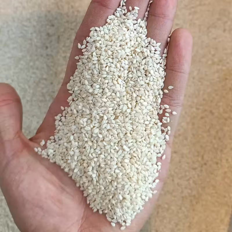 کنجد سفید تمیز و یکدست تازه (یک کیلو)