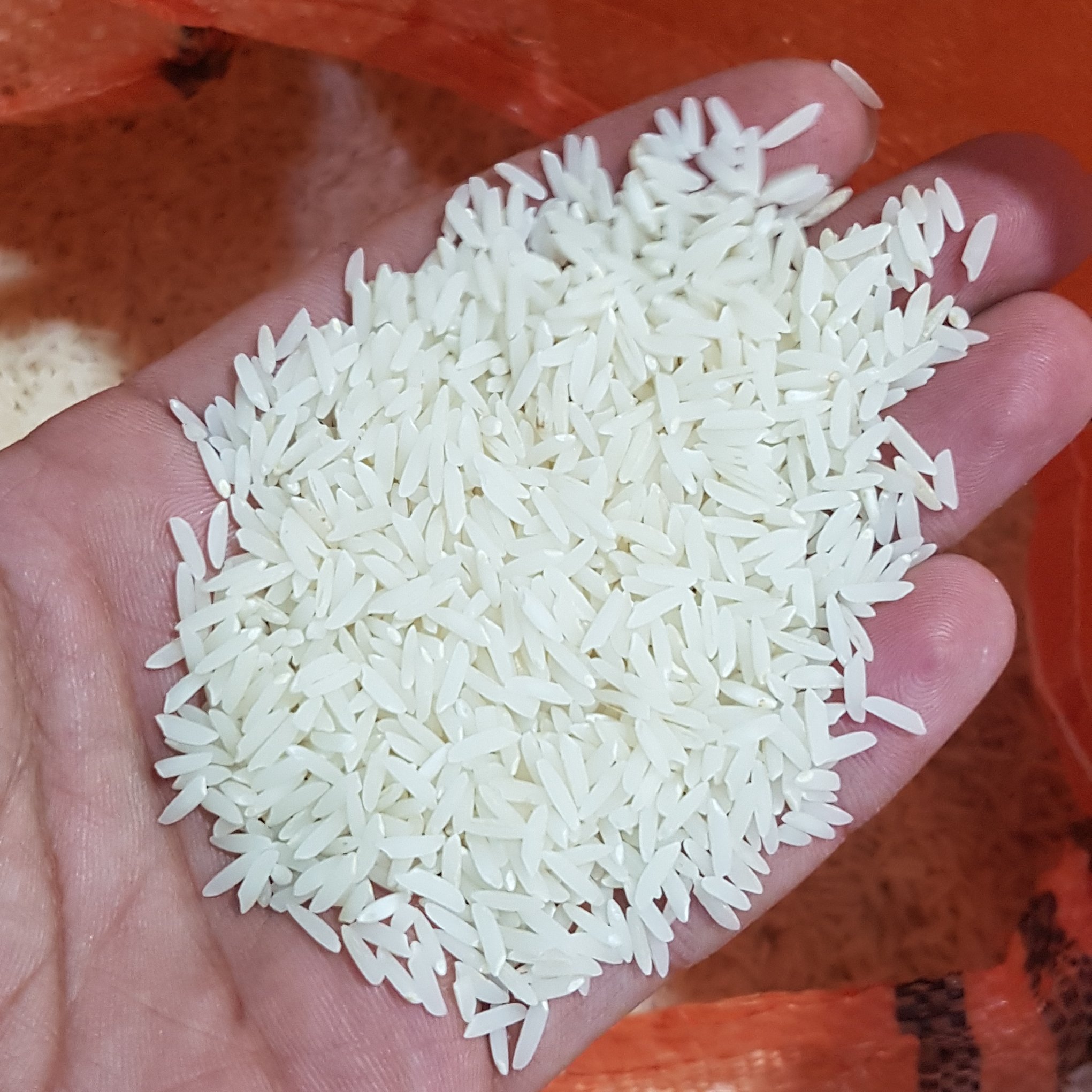 برنج طارم هاشمی اعلا فریدونکنار 5 کیلویی و ده کیلویی (تضمین کیفیت)