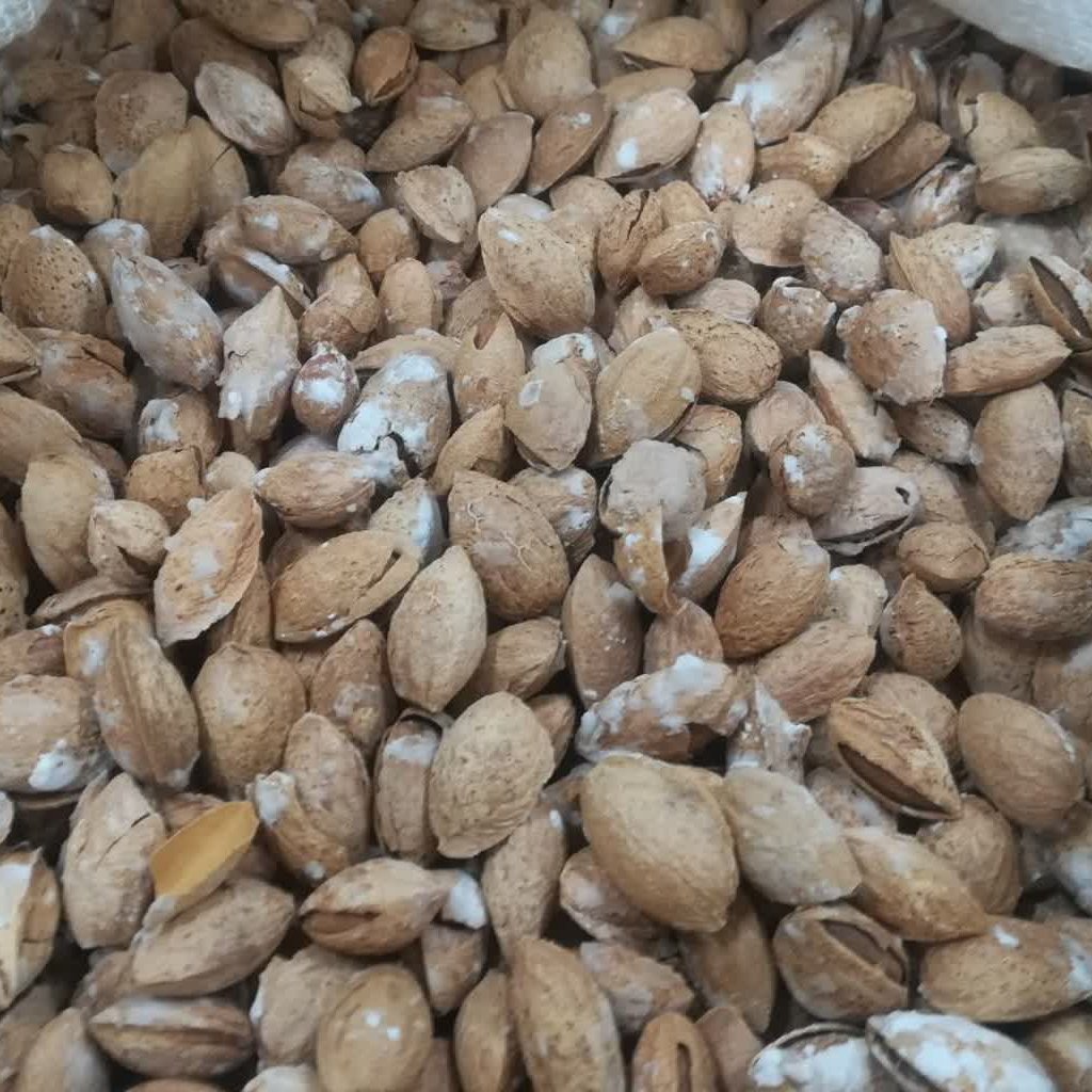 بادام کاغذی خام درجه یک