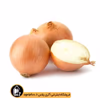 بذر پیاز زرد فلات