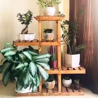 استند تمام چوب طبقاتی