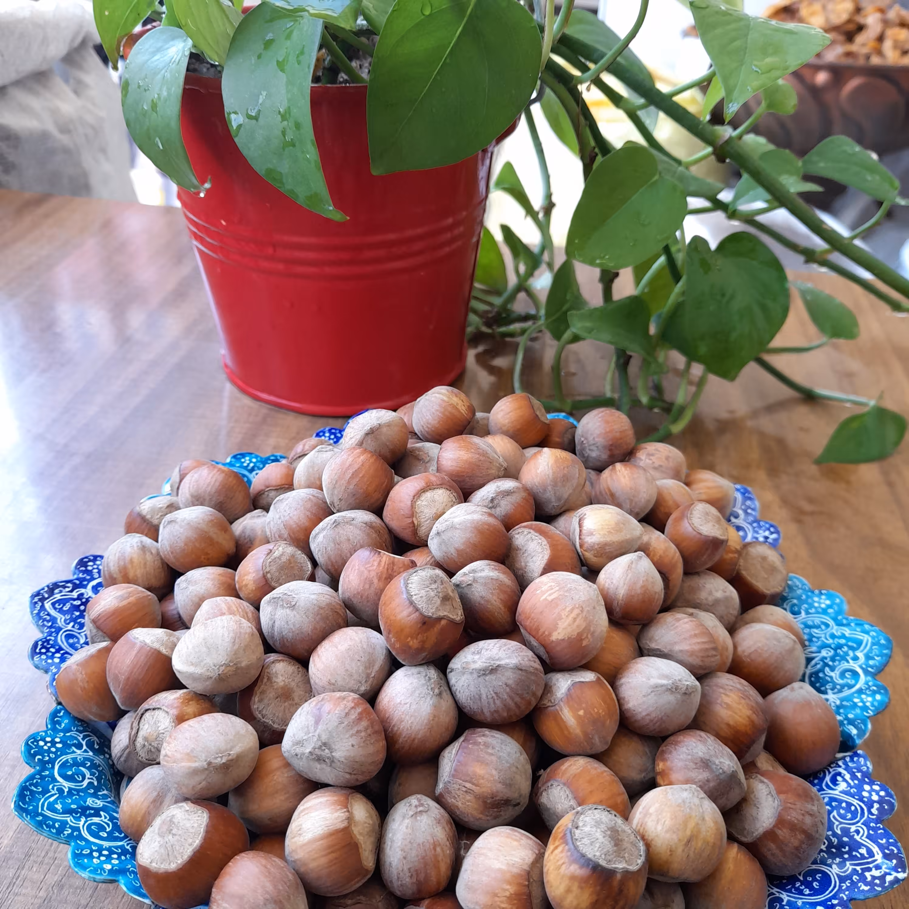 فندق خام تازه امسالی 900 گرمی