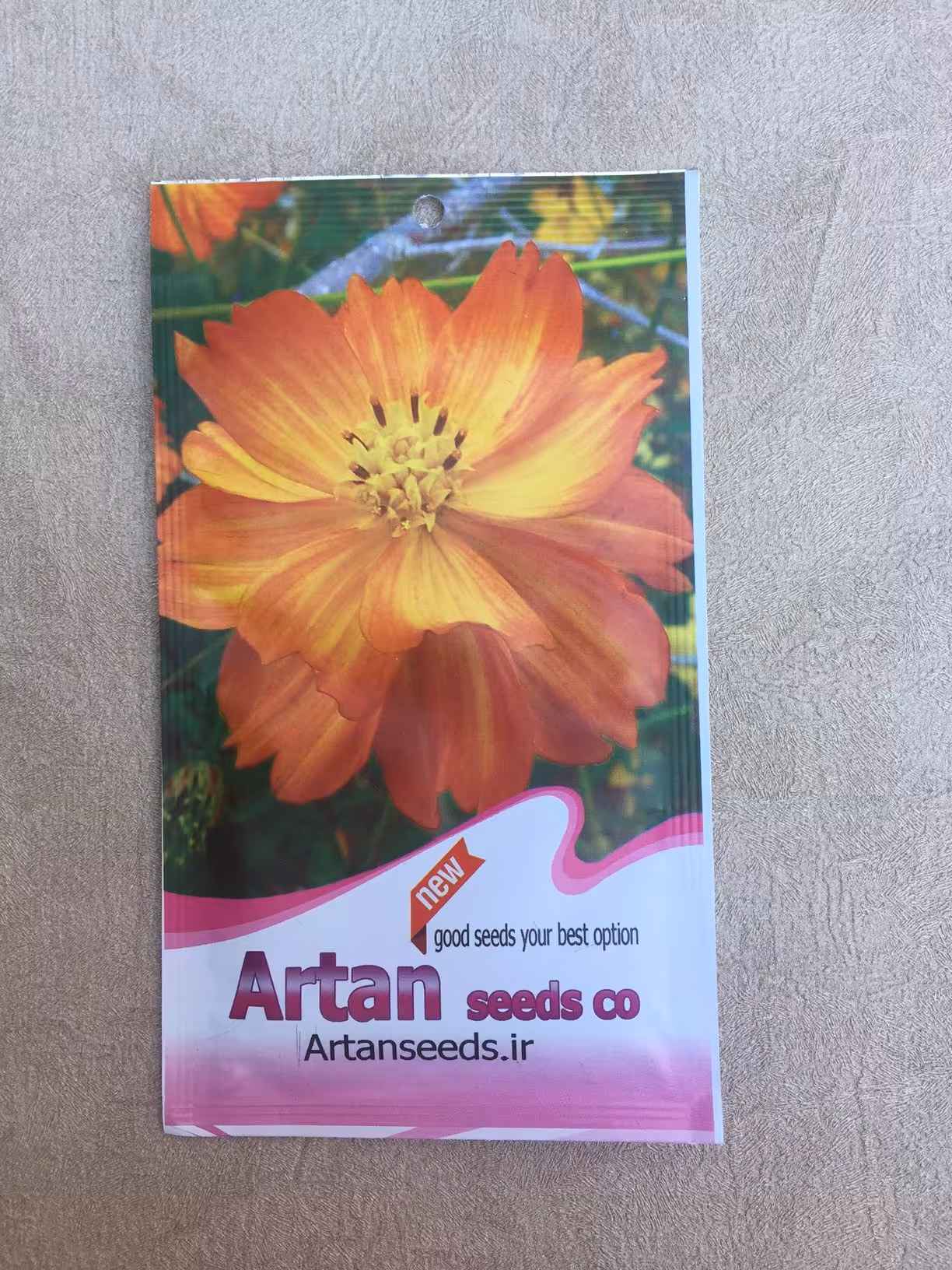 بذر گل ستاره ای نارنجی