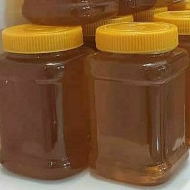 عسل گون خوانسار (و أَنْهَارٌ مِنْ عَسَلٍ مُصَفًّی)
