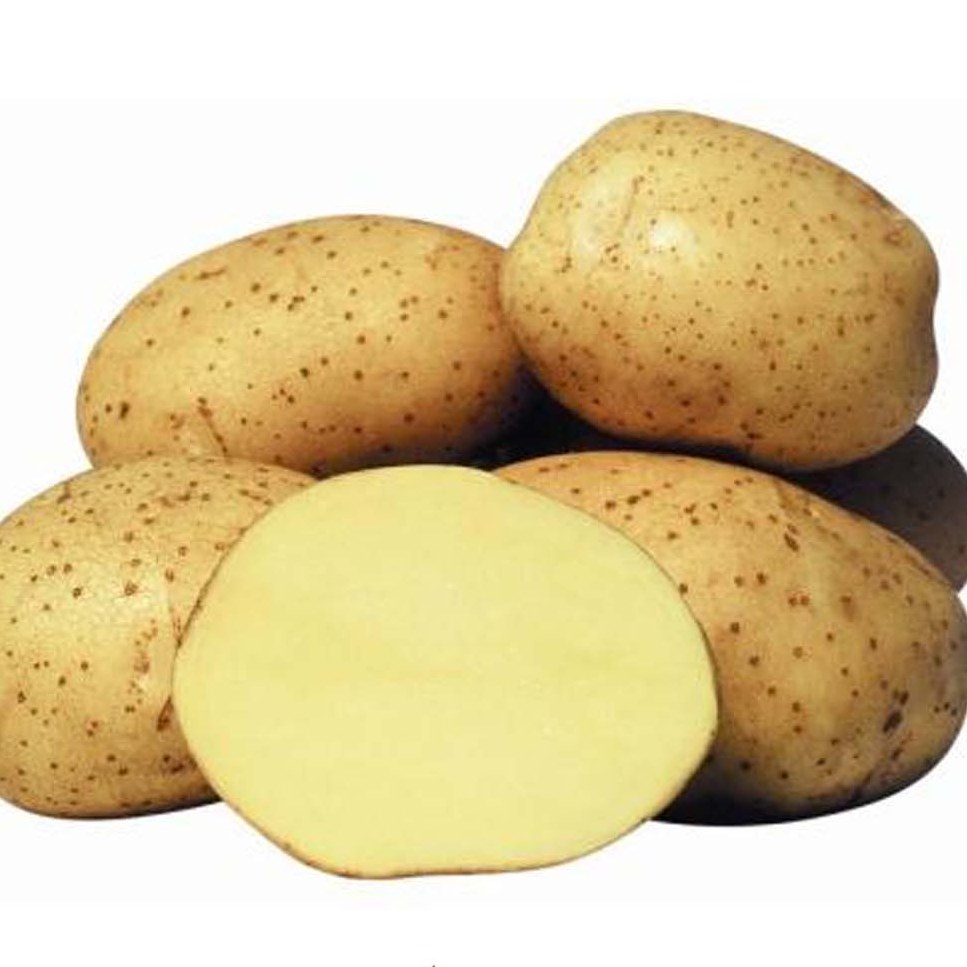 سیب زمینی درجه1