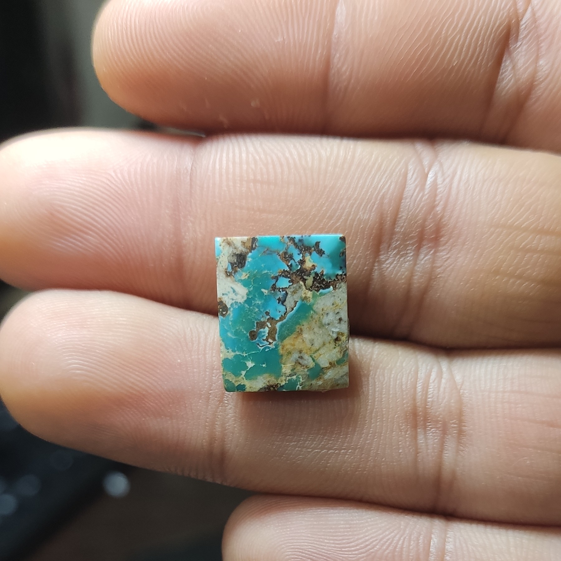 فیروزه اصل نیشابور 