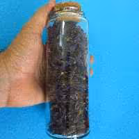 شیشه ادویه طرح آلپ ارتفاع20 سانتیمتر با درب چوب پنبه شش عددی