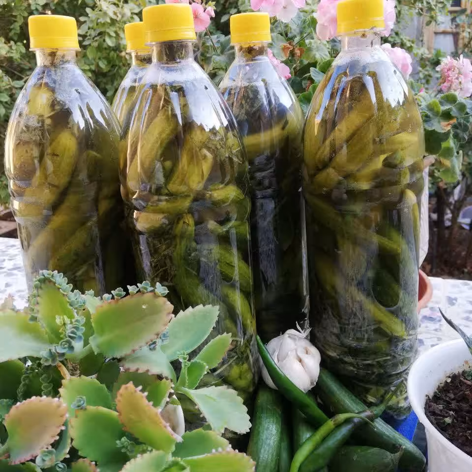 خیارشور محلی ، ارسال رایگان به سراسر کشور