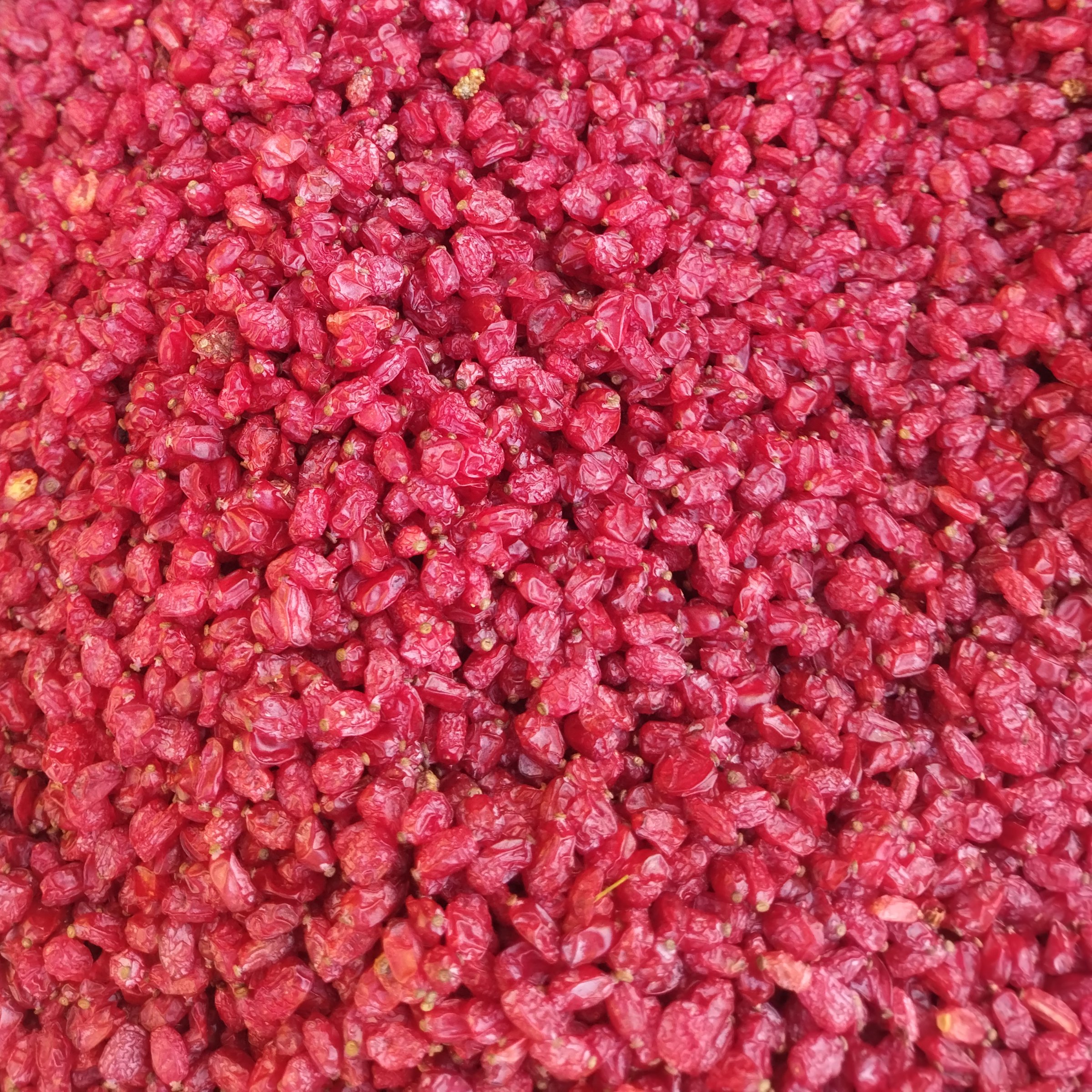 زرشک پفکی مرغوب ،برداشت 1402 یک کیلویی 