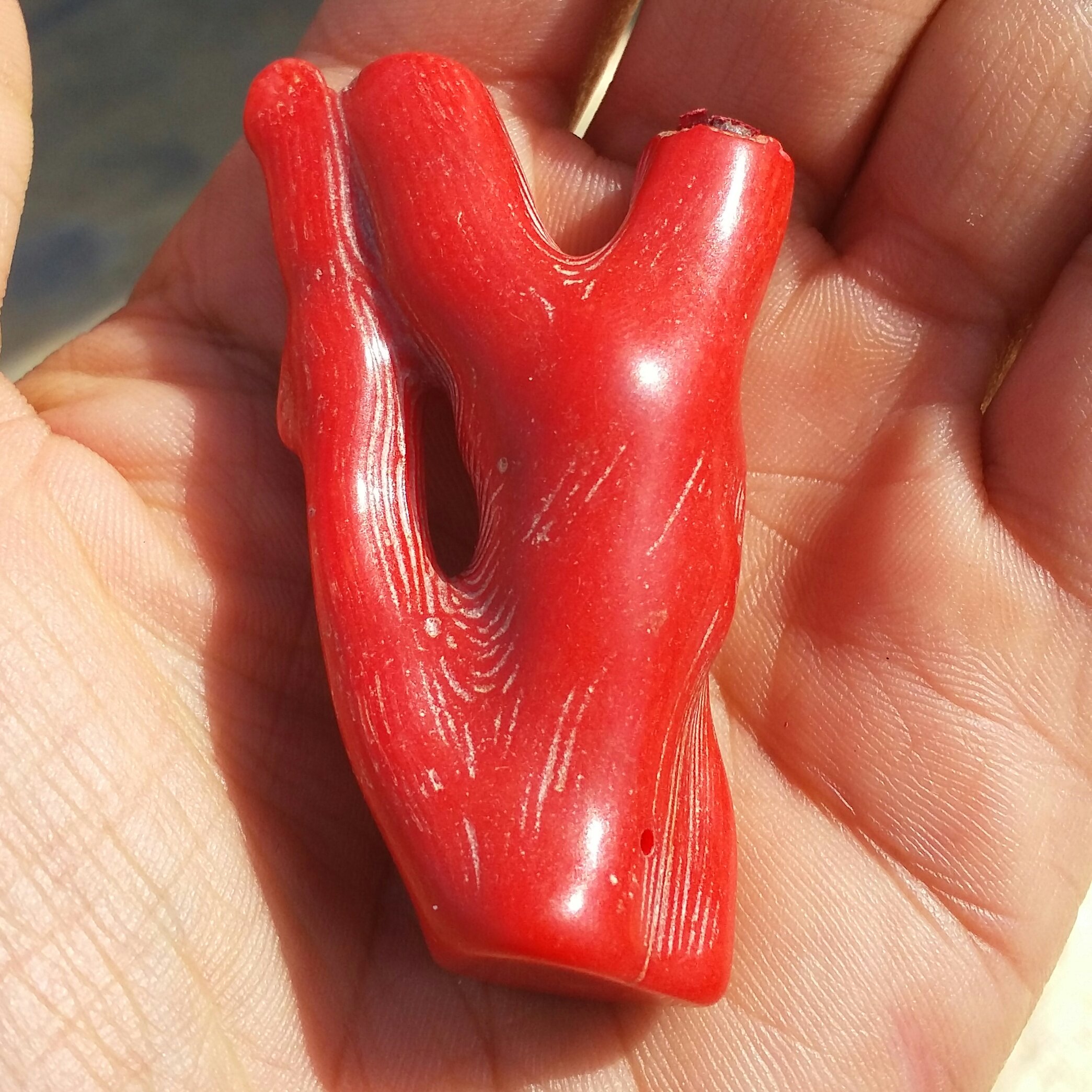 مرجان قرمز (سرخ) سایز غولپیکر مناسب گردنبند صد در صد طبیعی و اصل کد :  9567