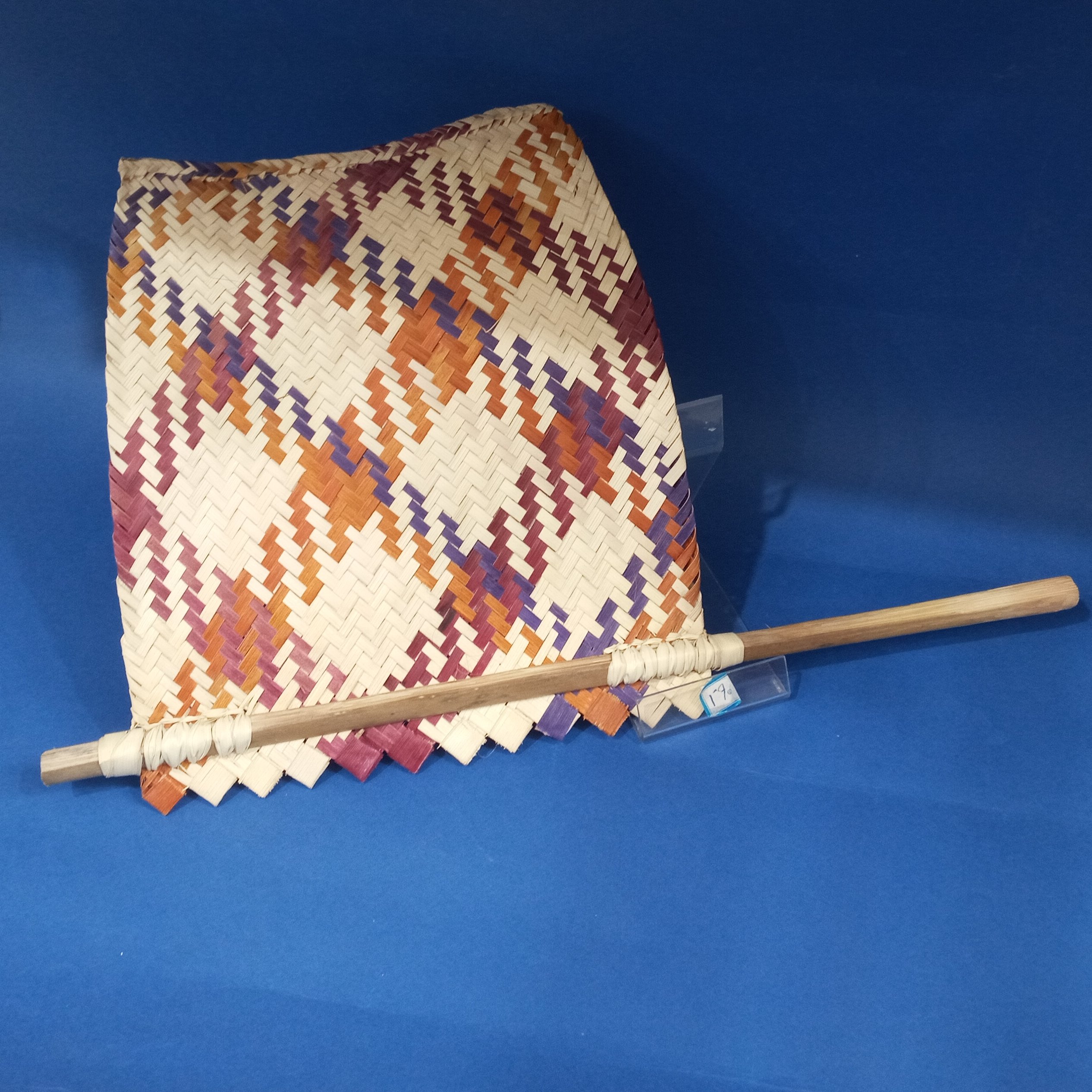 بادبزن حسیری