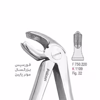 فورسپس بزرگسال مولر پایین - کوشا