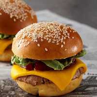 طعم دهنده طبیعی خوراکی  پودری همبرگر درجه یک در بسته بندی 500 گرمی