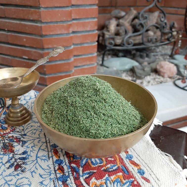 شوید سایه خشک