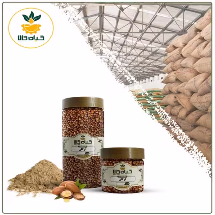 دانه آرگان با کیفیت عالی و ممتاز