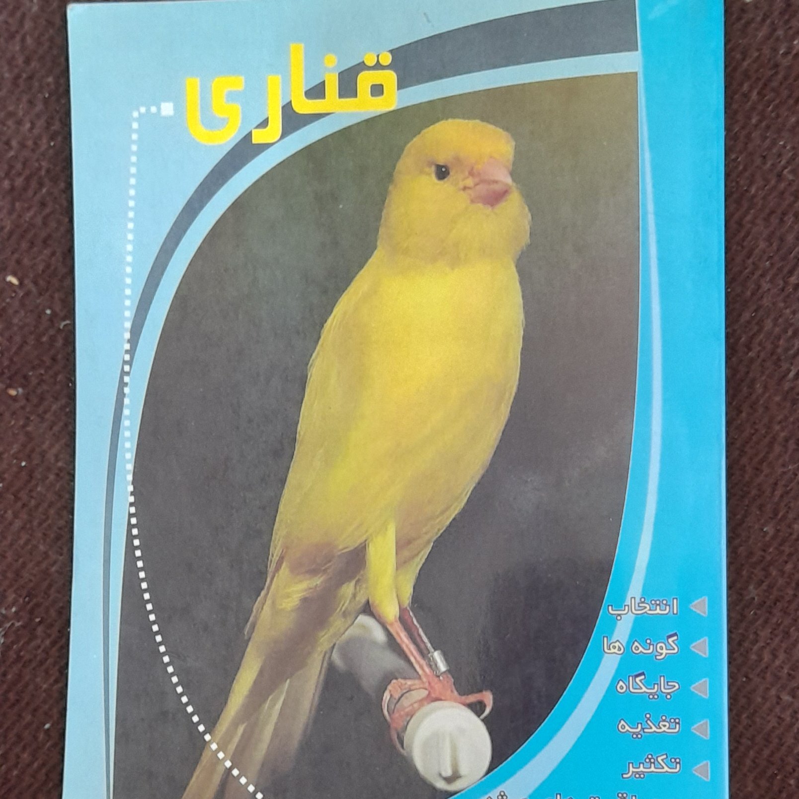 کتاب قناری شامل(انتخاب،گونه ها،جایگاه،تغذیه،تکثیرومراقبتهای ویژه)