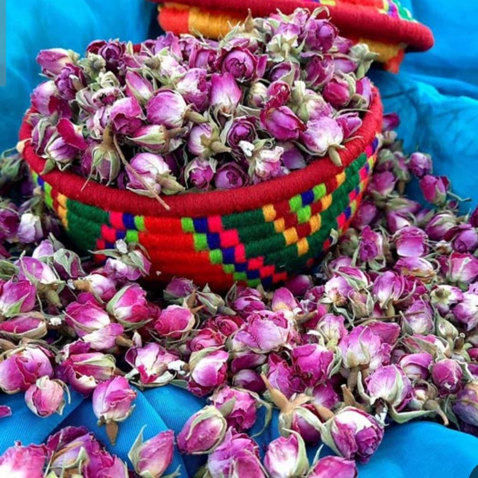 قاووت گل محمدی