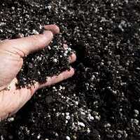 خاک آماده کشت یا خاک تعویض گلدان