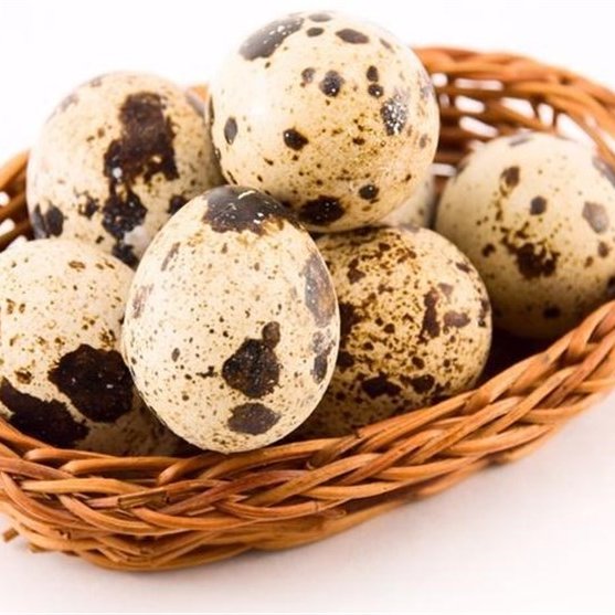 تخم بلدرچین، ارگانیک ارگانیک