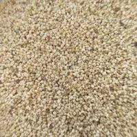 تخم یا دانه خشخاش درجه یک  داهاتی  100 گرمی