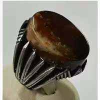 انگشتر زیبای شجر سلیمانی