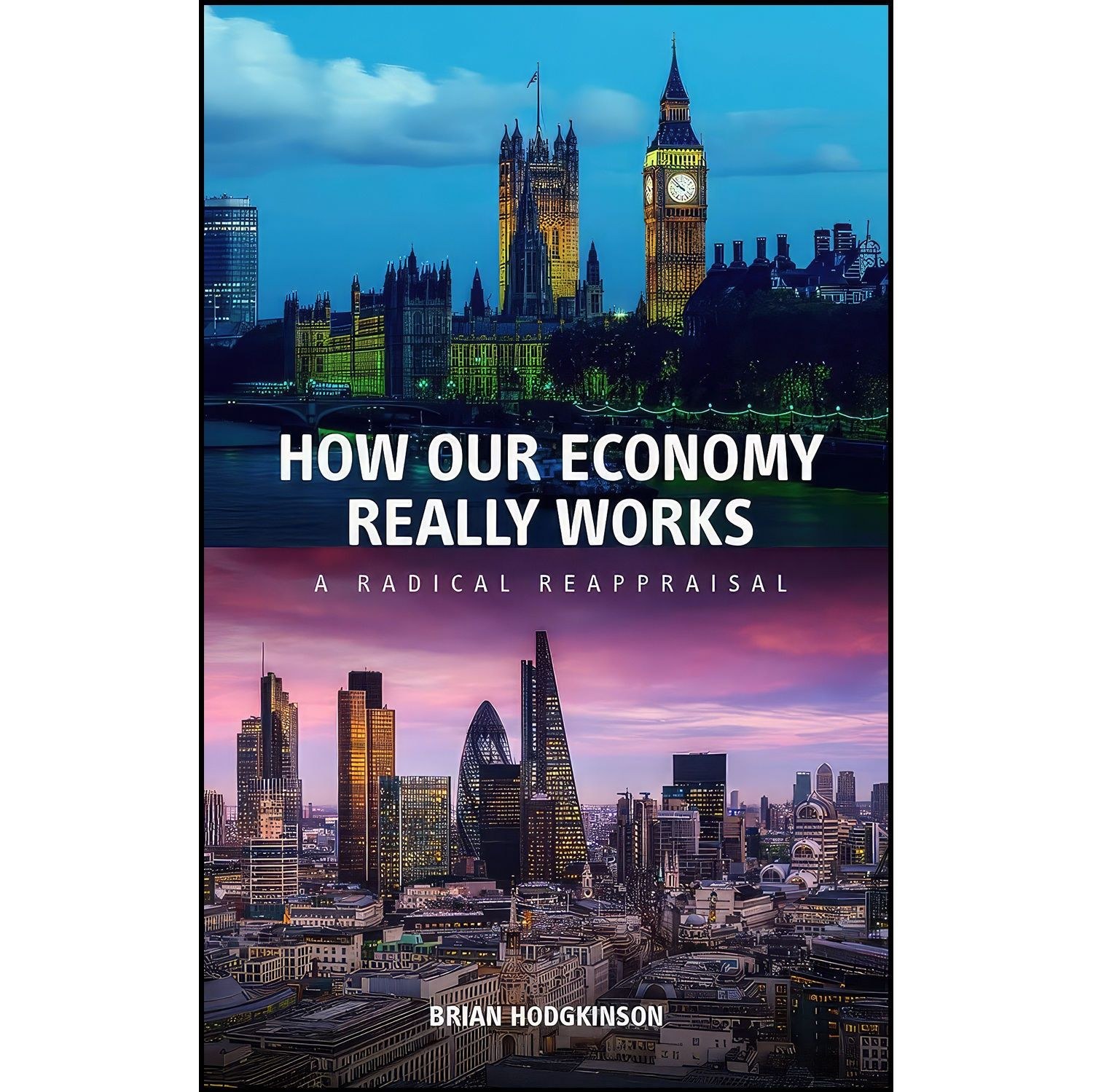 کتاب زبان اصلی How Our Economy Really Works اثر Brian Hodgkinson