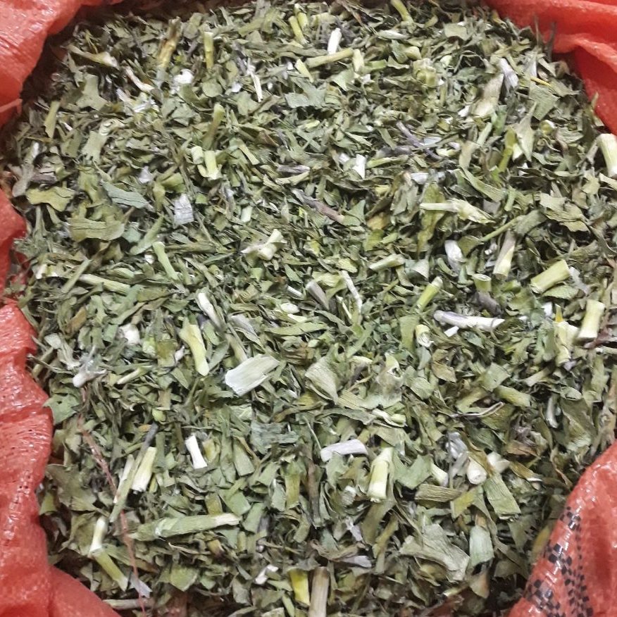 تره کوهی خشک درجه یک (1000) گرم