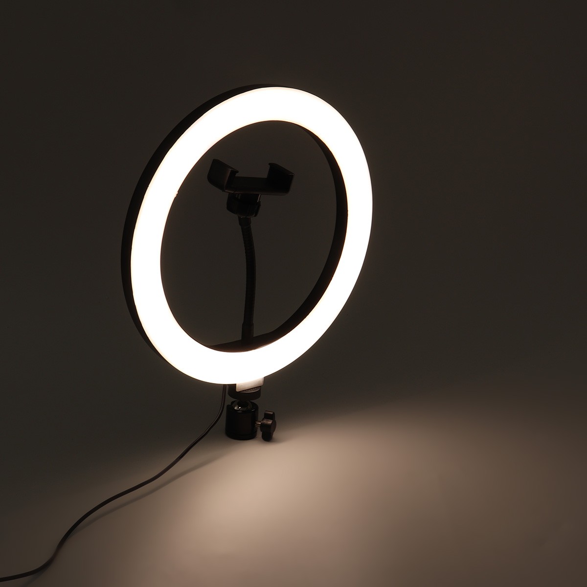 رینگ لایت سایز متوسط دارای سه نور آفتابی مهتابی و ترکیبی