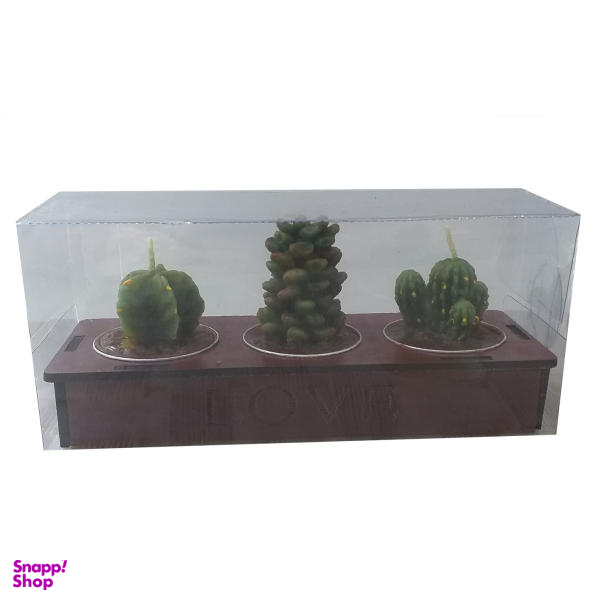 شمع مدل کاکتوس مجموعه 3 عددی