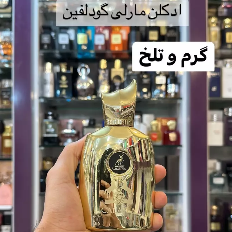 ادکلن GALATEA برند الحمبرا مشابه مارلی گودولفین