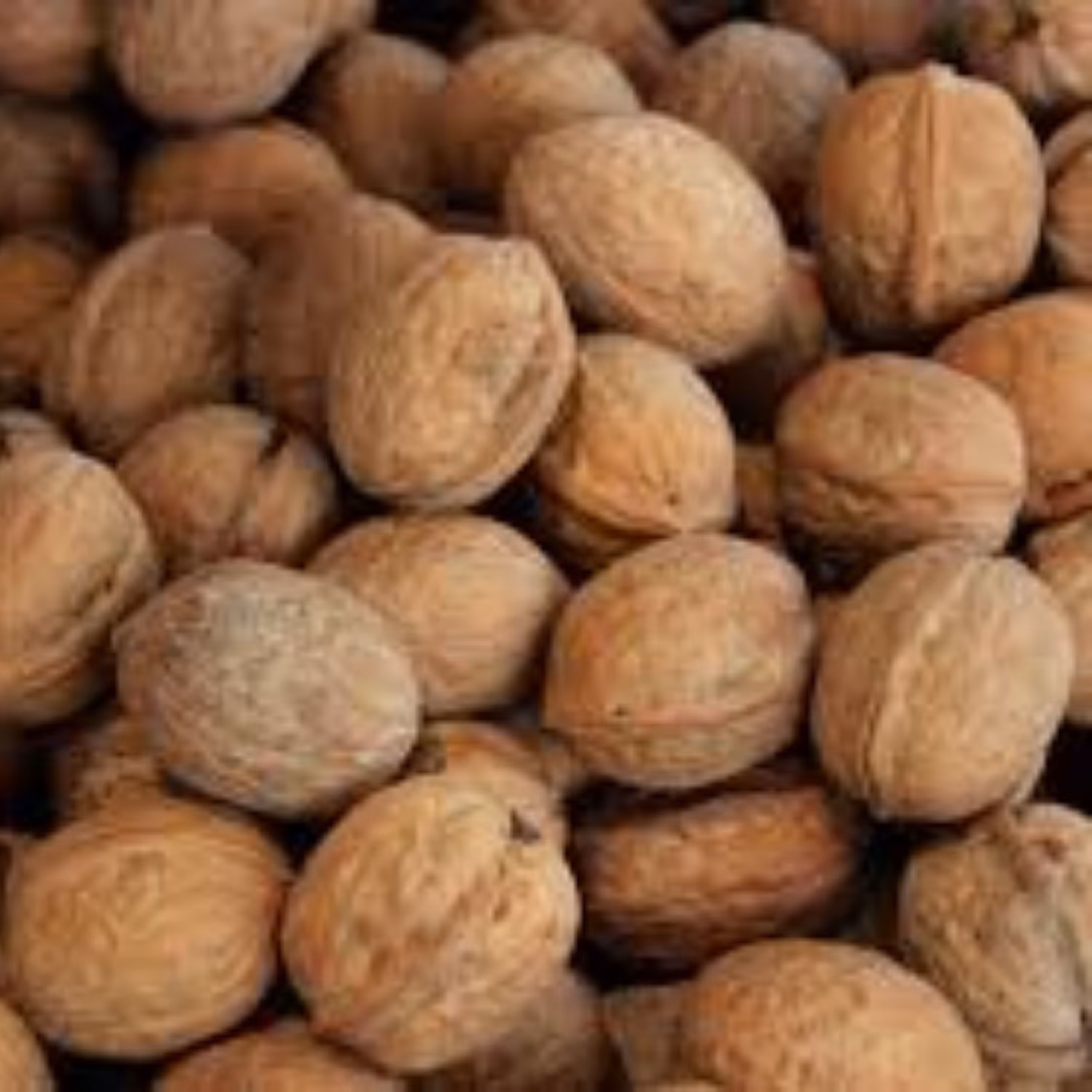 گردواعلاسفیدروغنی(محله گل و بلبل )250گرمی محصول بهشت ایران زمین