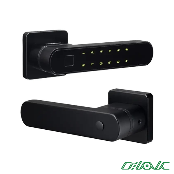 دستگیره دیجیتال هوشمند اچ تی ان (htn) مدل E55