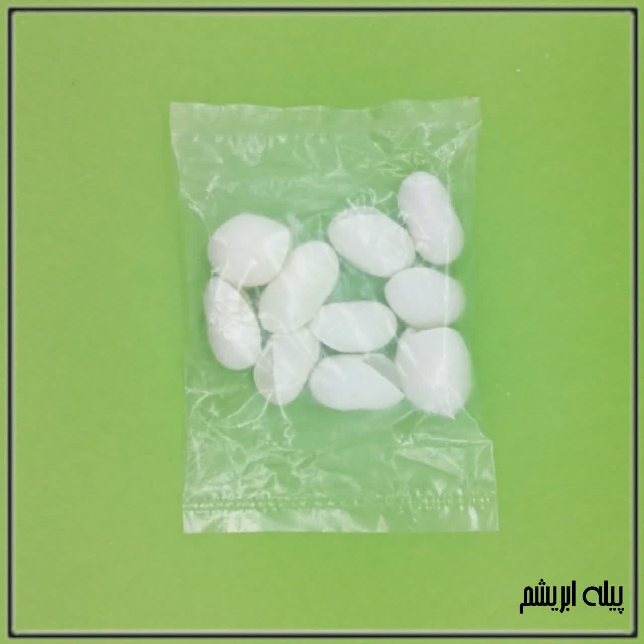 پیله ابریشم 