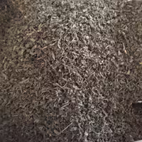 چای سیاه ممتاز نیکان بسته بندی 500 گرمی