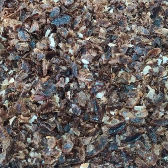 مغز لیمو (500گرمی)