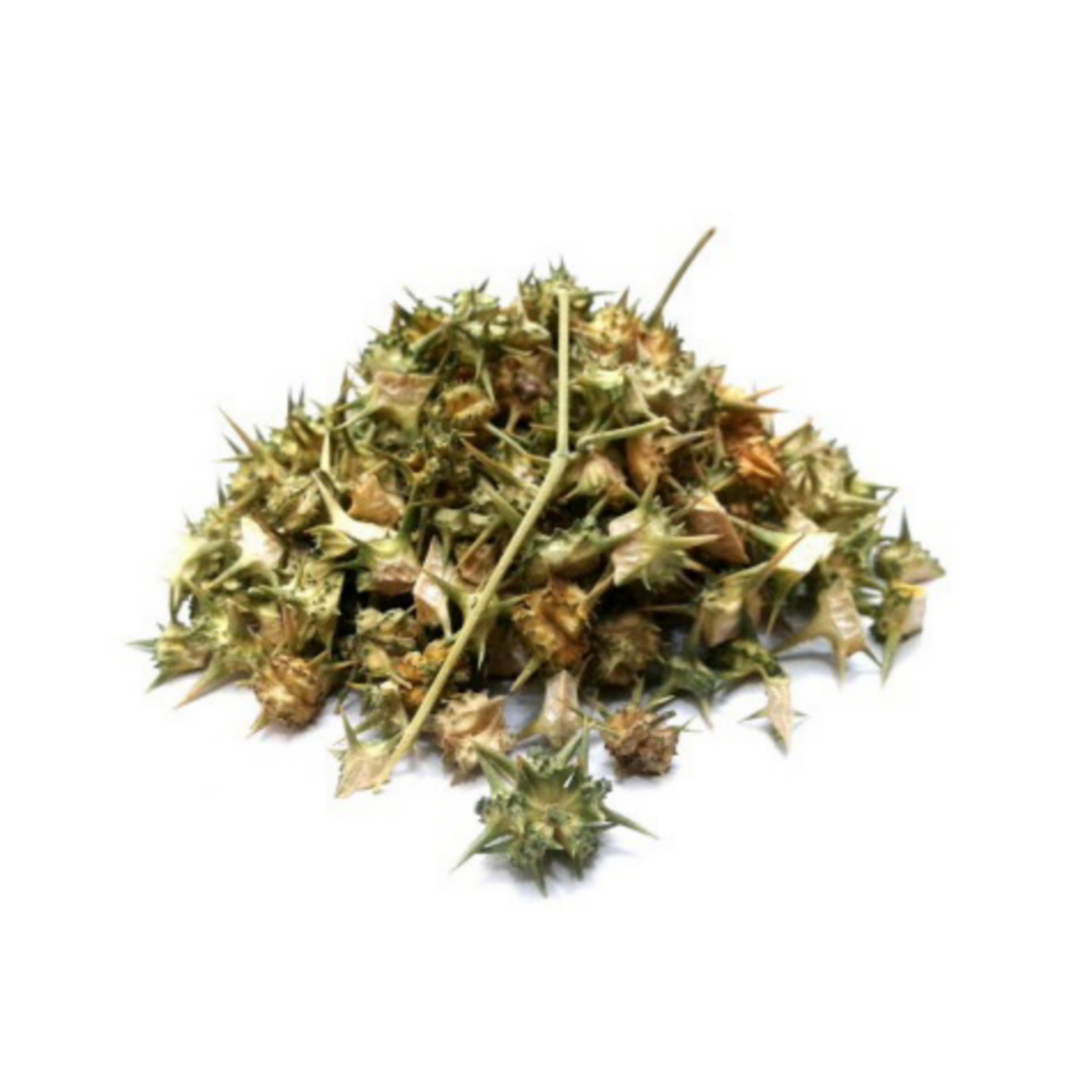 خار خاسک(100 گرم)