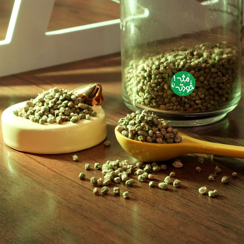 ارگانو یا اورگانوی اصل مثه خودته