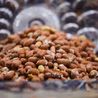 بادام زمینی آستانه اشرفیه لوکس ( 1 کیلوگرم )