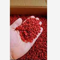 زرشک پفکی امسالی اعلا ( مستقیم از کشاورز ) در بسته بندی  یک کیلویی و بصورت کلی و کارتنی 