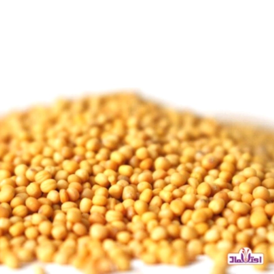 دانه خردل زرد 100 گرمی اعتماد